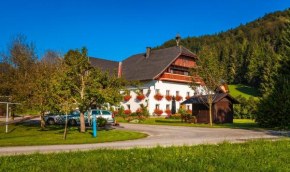 Waschlgut, Ebenau, Österreich